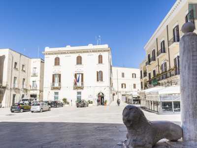Concludono la piazza il cinquecentesco palazzo della Dogana voluto da Isabella d�Aragona e l�ampio piedistallo su cui sorge l�iconica Colonna Infame col suo leone di marmo bianco �custode della giustizia�